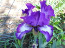 DSCN6519