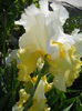 DSCN6534