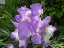 DSCN6558