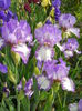 DSCN6559