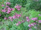 DSCN7595