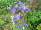 DSCN7596
