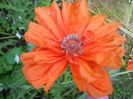 DSCN7604