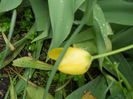 DSCN7607