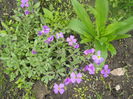 DSCN7617