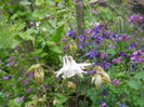 DSCN7622