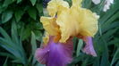 IMG_20150512_191323