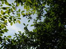 DSCN6430