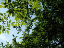 DSCN6431
