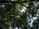 DSCN6433