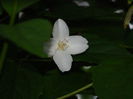 DSCN6519
