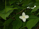DSCN6521