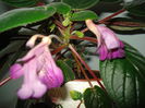 DSC01051