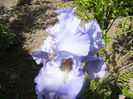 P1230532