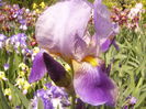 P1230544