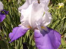 P1230550