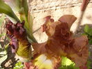 P1230559