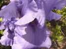 P1230563
