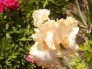 P1230565