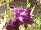 P1230575