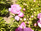 P1230577