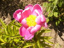 P1230579