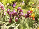 P1230584