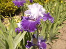 Iris World Premier