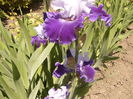 P1230588