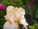 P1230593