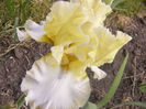 P1230594