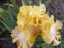 P1230604