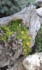20150513_185142[1]
