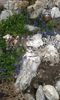 20150513_191340[1]