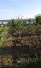 20150513_192317[1]