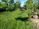 IMG_20150513_165225
