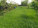 IMG_20150513_104956