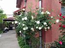 IMG_20150514_073726