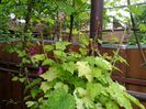 IMG_20150514_073849