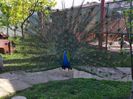 20150514_094222