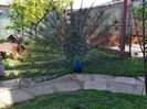 20150514_094214