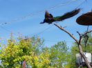 20150514_094104