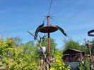 20150514_094036