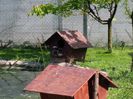 20150514_095346
