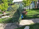 20150514_100238