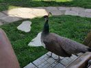 20150514_101103