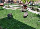 20150514_101348