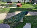 20150514_101342