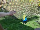 20150514_101321