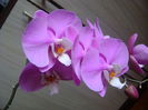 DSC07620